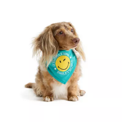 SMILEY WORLD® Iconic Smiley Face Dog Jersey Bandana - Image 1