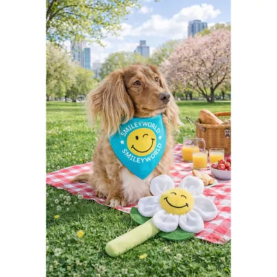 SMILEY WORLD® Iconic Smiley Face Dog Jersey Bandana - Image 4