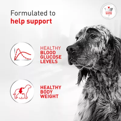 Royal Canin® Veterinary Diet Canine Glycobalance Adult Dry Dog Food - Image 3