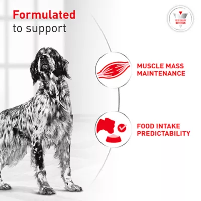 Royal Canin® Veterinary Diet Canine Glycobalance Adult Dry Dog Food - Image 4