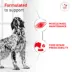 Royal Canin® Veterinary Diet Canine Glycobalance Adult Dry Dog Food image thumbnail 4