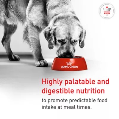 Royal Canin® Veterinary Diet Canine Glycobalance Adult Dry Dog Food - Image 5