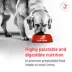 Royal Canin® Veterinary Diet Canine Glycobalance Adult Dry Dog Food image thumbnail 5