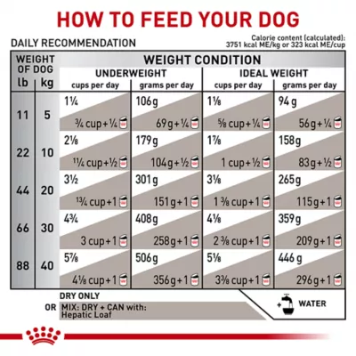 Royal Canin® Veterinary Diet Hydrolyzed Protein HP Adult Dog Dry Food - Image 8