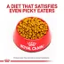 Royal Canin Veterinary Diet Hepatic Adult Dry Dog Food image thumbnail 2