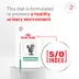 Royal Canin Veterinary Diet Gylcoadvanced Adult Dry Cat Food image thumbnail 2