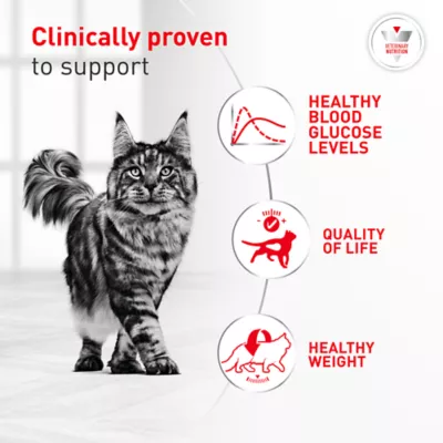 Royal Canin Veterinary Diet Gylcoadvanced Adult Dry Cat Food - Image 3