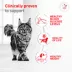 Royal Canin Veterinary Diet Gylcoadvanced Adult Dry Cat Food image thumbnail 3
