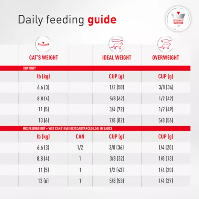 Royal Canin Veterinary Diet Gylcoadvanced Adult Dry Cat Food - Image 8
