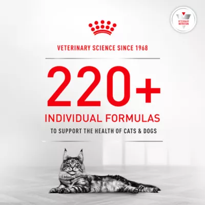 Royal Canin Veterinary Diet Gylcoadvanced Adult Dry Cat Food - Image 10