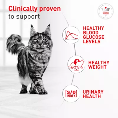 Royal Canin Veterinary Diet Feline Glycoadvanced Adult Wet Cat Food - Image 3