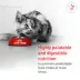 Royal Canin Veterinary Diet Feline Glycoadvanced Adult Wet Cat Food image thumbnail 4