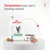 Royal Canin Veterinary Diet Feline Glycoadvanced Adult Wet Cat Food image thumbnail 6