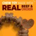 Nylabone® Meat Ring Dog Toy, Beef & Chicken image thumbnail 3