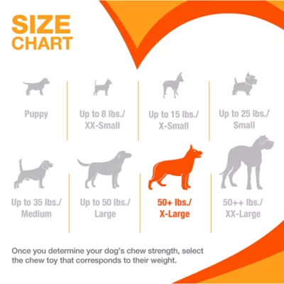 Nylabone® Meat Ring Dog Toy, Beef & Chicken - Image 5