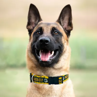 Pets First Green Bay Packers Satin Collar - Image 3
