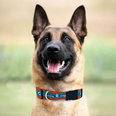 Pets First Miami Dolphins Satin Collar - Image 3
