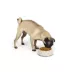 Top Paw® Tan Check Melamine Dog Bowl 12oz, 52oz image thumbnail 6