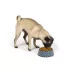 Top Paw® Bones Melamine Dog Bowl 12oz, 52oz image thumbnail 6