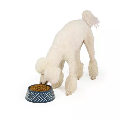 Top Paw® Bones Melamine Dog Bowl 12oz, 52oz - Image 6