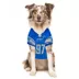Pets First Aidan Hutchinson Lions Jersey image thumbnail 4
