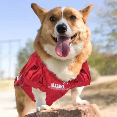 University of Alabama Crimson Tide NCAA Jersey - Image 4