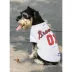 Atlanta Braves MLB Jersey image thumbnail 3