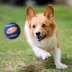 Nerf Tennis Balls Dog Toy 4-Pack image thumbnail 4