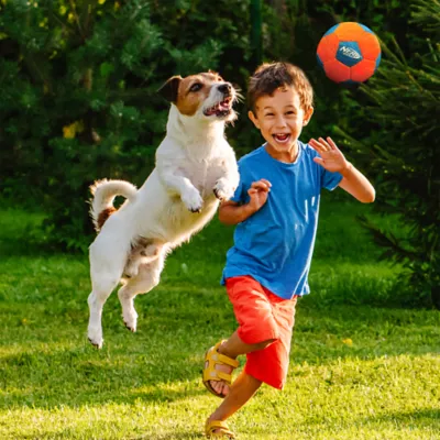 Nerf Soccer Ball Dog Toy - Image 2