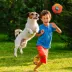 Nerf Soccer Ball Dog Toy image thumbnail 2