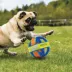 Nerf Giggle Ball Dog Toy image thumbnail 2