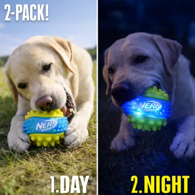 Nerf Spike Ball Dog Toy 2-Pack - Image 2