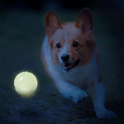 Nerf Small Ball Dog Toy 3-Pack - Image 2