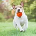 Nerf Small Ball Dog Toy 3-Pack image thumbnail 5