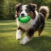 Nerf Rubber Football Dog Toy image thumbnail 2
