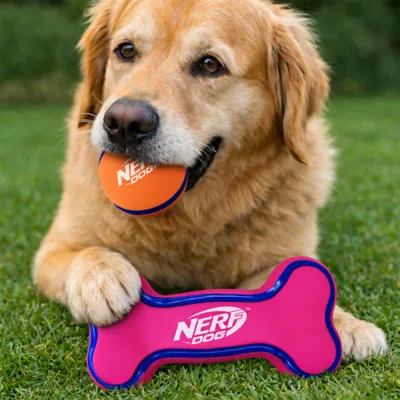 Nerf Rubber Bone and Ball Dog Toy 2-Pack - Image 2