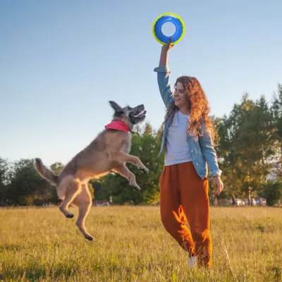 Nerf Flyer Dog Toy - Image 2