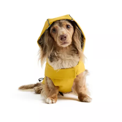 SMILEY WORLD® PU Dog Raincoat - Image 4