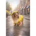 SMILEY WORLD® PU Dog Raincoat image thumbnail 6