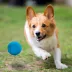 Nerf Indoor Ball Dog Toy 2-Pack image thumbnail 4