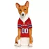 Pets First Buffalo Bills Color Rush Jersey image thumbnail 4