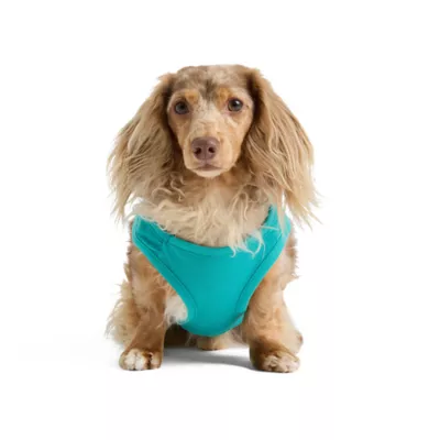 SMILEY WORLD® Iconic Smiley Face Dog Jersey Tank Top - Image 3