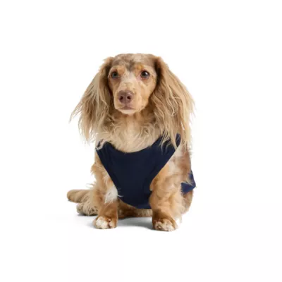 SMILEY WORLD® "A smile says it all" Dog Jersey Tank Top - Image 3