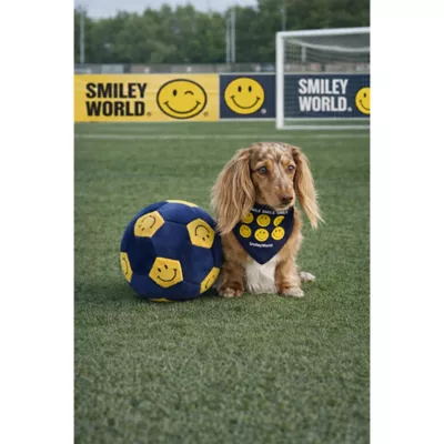 SMILEY WORLD® Iconic Smiley Faces Soccer Ball Dog Toy - Image 5