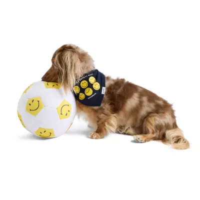 SMILEY WORLD® Iconic Smiley Faces Soccer Ball Dog Toy - Image 2
