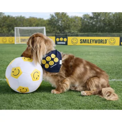 SMILEY WORLD® Iconic Smiley Faces Soccer Ball Dog Toy - Image 4