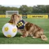 SMILEY WORLD® Iconic Smiley Faces Soccer Ball Dog Toy image thumbnail 4