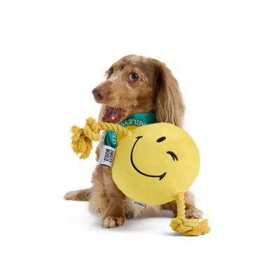 SMILEY WORLD® Iconic Smiley Face Dog Toy With Tug Rope - Image 1