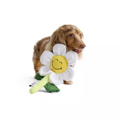 SMILEY WORLD® Smiley Face Flower Dog Toy - Image 1