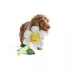 SMILEY WORLD® Smiley Face Flower Dog Toy image thumbnail 1